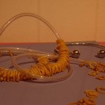salone-del-gusto1