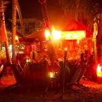 palmera-de-cabarete6