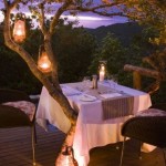 private-game-reserve-phinda11