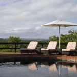 private-game-reserve-phinda12