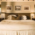 private-game-reserve-phinda13