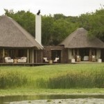private-game-reserve-phinda18