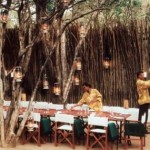 private-game-reserve-phinda2