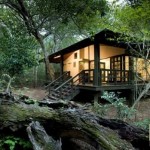 private-game-reserve-phinda5