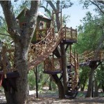 Daniels Wood Land4
