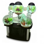 acquario1