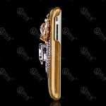 case luxury edition3