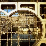 acido dorado1