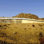 acido dorado3