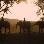 safari pasqua