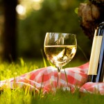 pinot grigio