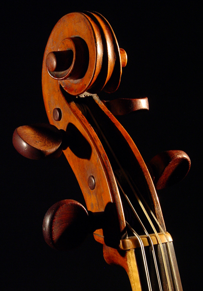 violoncello