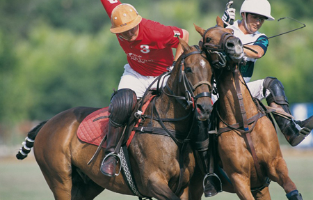 polo-club-st-tropez