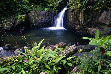 El Yunque