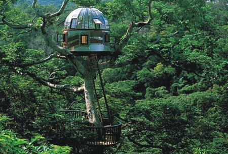 New Treehouses of the World7