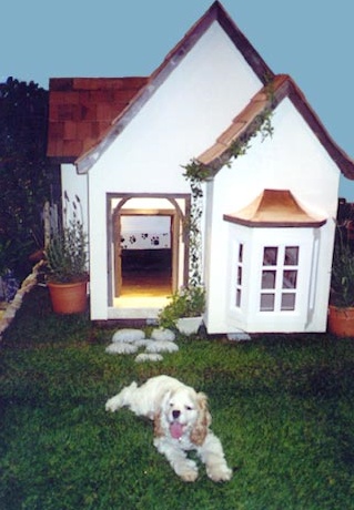 Casette di lusso per cani by Le Petit Maison