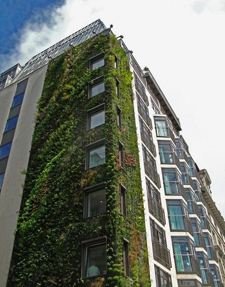 I giardini verticali di Patrick Blanc: il muro vegetale alla conquista della città