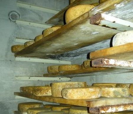 Il formaggio più caro al mondo: quello dei Balcani