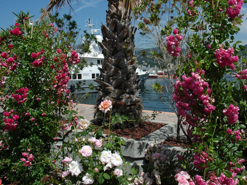 Yacht & Garden 2010