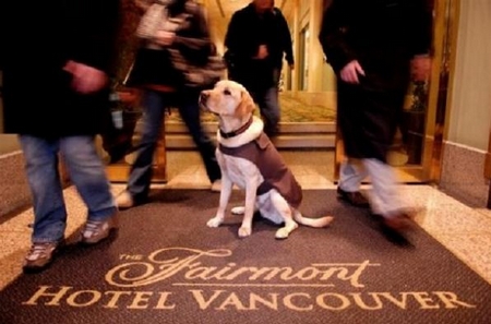 Cani da compagnia al Fairmont Hotel & Resort
