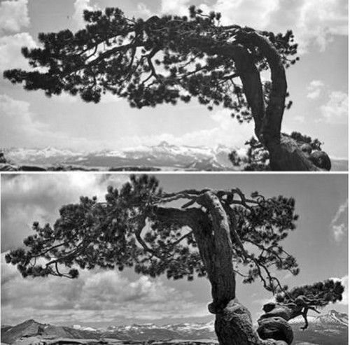 Ansel Adams