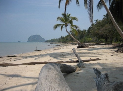 Koh Rong, l'isola Cambogiana diventerà un resort di lusso