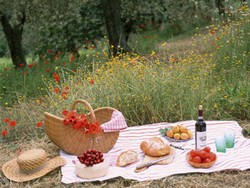 picknick