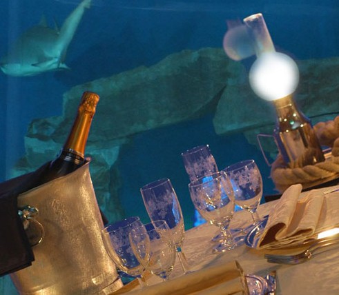 San Valentino 2011, cena con gli squali all'Acquario di Genova