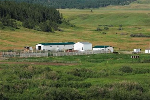Siebel vende la sua proprietà N Bar Ranch nel Montana