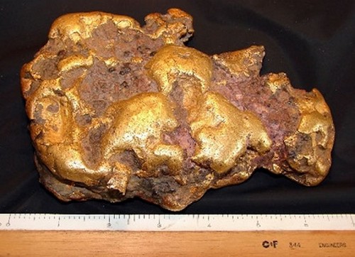 pepita d’oro