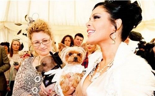 Matrimonio tra cani costato 20 mila sterline