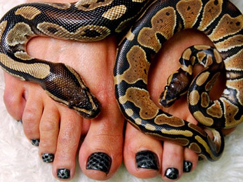 Snakeskin Manicure: manicure e pedicure con pelle di serpente