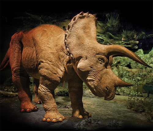 Triceratopo domestico e tecnologico a 350 mila dollari