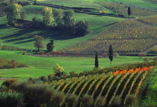 colline-chianti