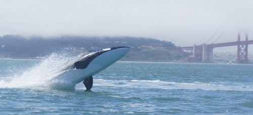 Seabreacher Y, il motoscafo -sommergibile a forma di orca