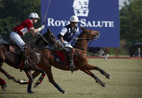 polo royal salute