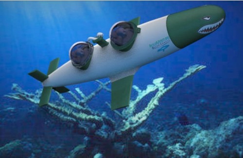 Seabird: il mini sottomarino da 195 mila dollari