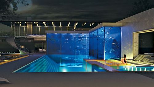 Okeanos Aquascaping presenta la piscina con l'acquario di squali da 11 milioni di dollari