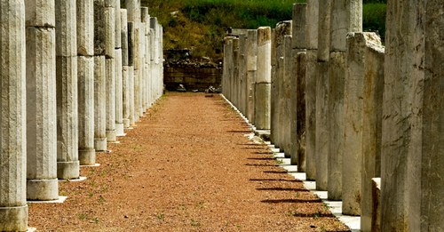 Costa Navarino per l'estate 2012 propone:  Passeggiate Filosofiche e Antica Olimpia 