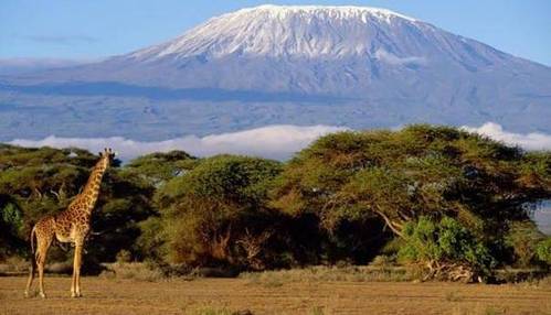 Kilimangiaro: nuova destinazione turistica della Qatar Airways