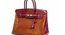 birkin asta record