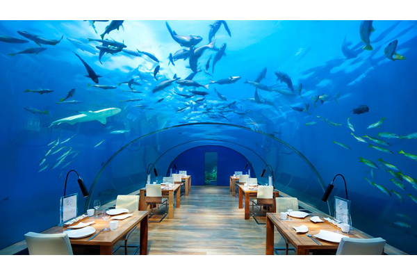 Ithaa Undersea Restaurant - www.lussuosissimo.com