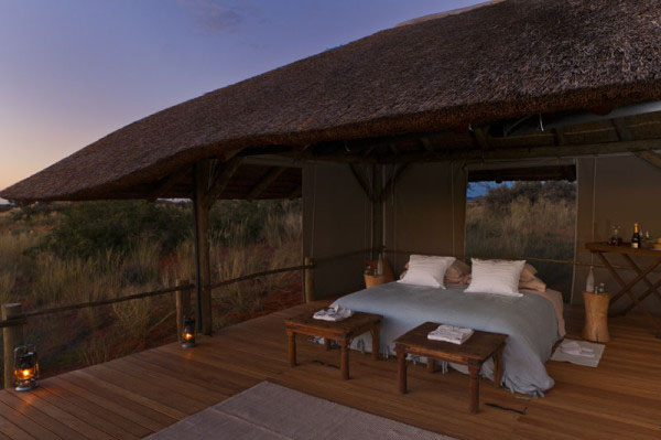 Tswalu Game Reserve. Southern Kalahari. Northern Cape. South Africa.