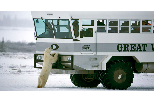 Tundra Lodge Rolling Hotel, il Polar Express tra gli orsi