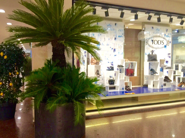 galleria cavour bologna tods