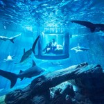 Aquarium de Paris