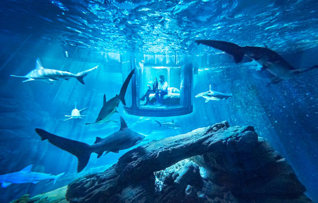Dormire con gli squali all’Aquarium de Paris