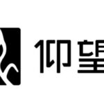 yangwang logo