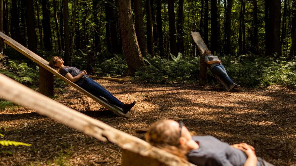 forest bathing