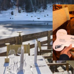 menù di lusso per cani a Cortina